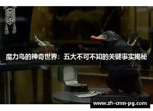 魔力鸟的神奇世界：五大不可不知的关键事实揭秘