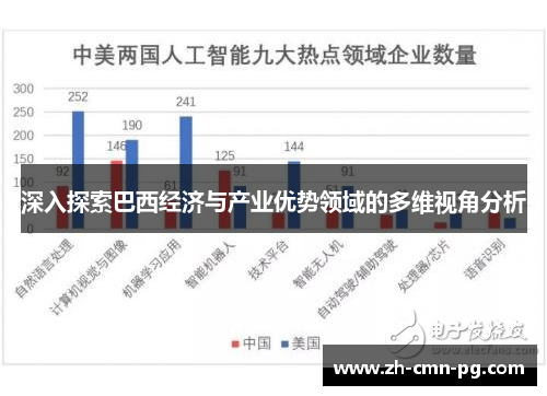 深入探索巴西经济与产业优势领域的多维视角分析