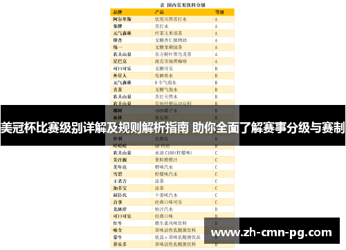 美冠杯比赛级别详解及规则解析指南 助你全面了解赛事分级与赛制