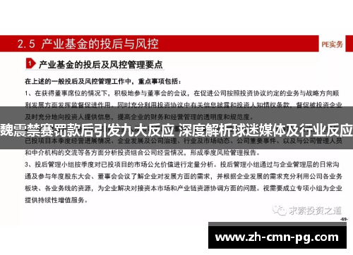 魏震禁赛罚款后引发九大反应 深度解析球迷媒体及行业反应